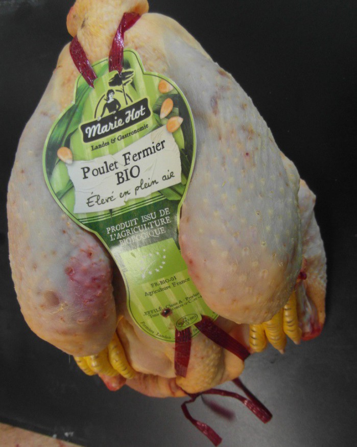 Poulet jaune BIO 